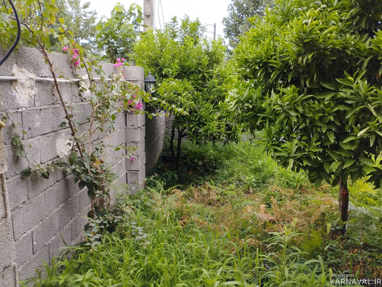 اقامتگاه دنج نزدیک جنگل با دسترسی مناسب