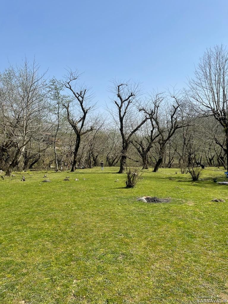 دربست 2 خوابه با چشم انداز رودخانه و جنگل
