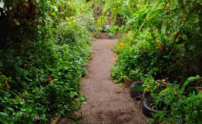 سوئیت مبله ساحلی سوئیت مبله ساحلی