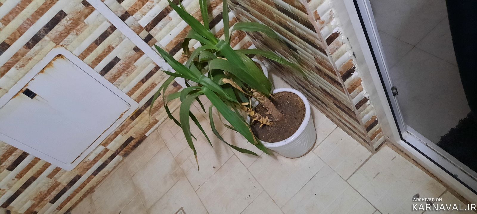 واحد مبله نقلی تک خواب