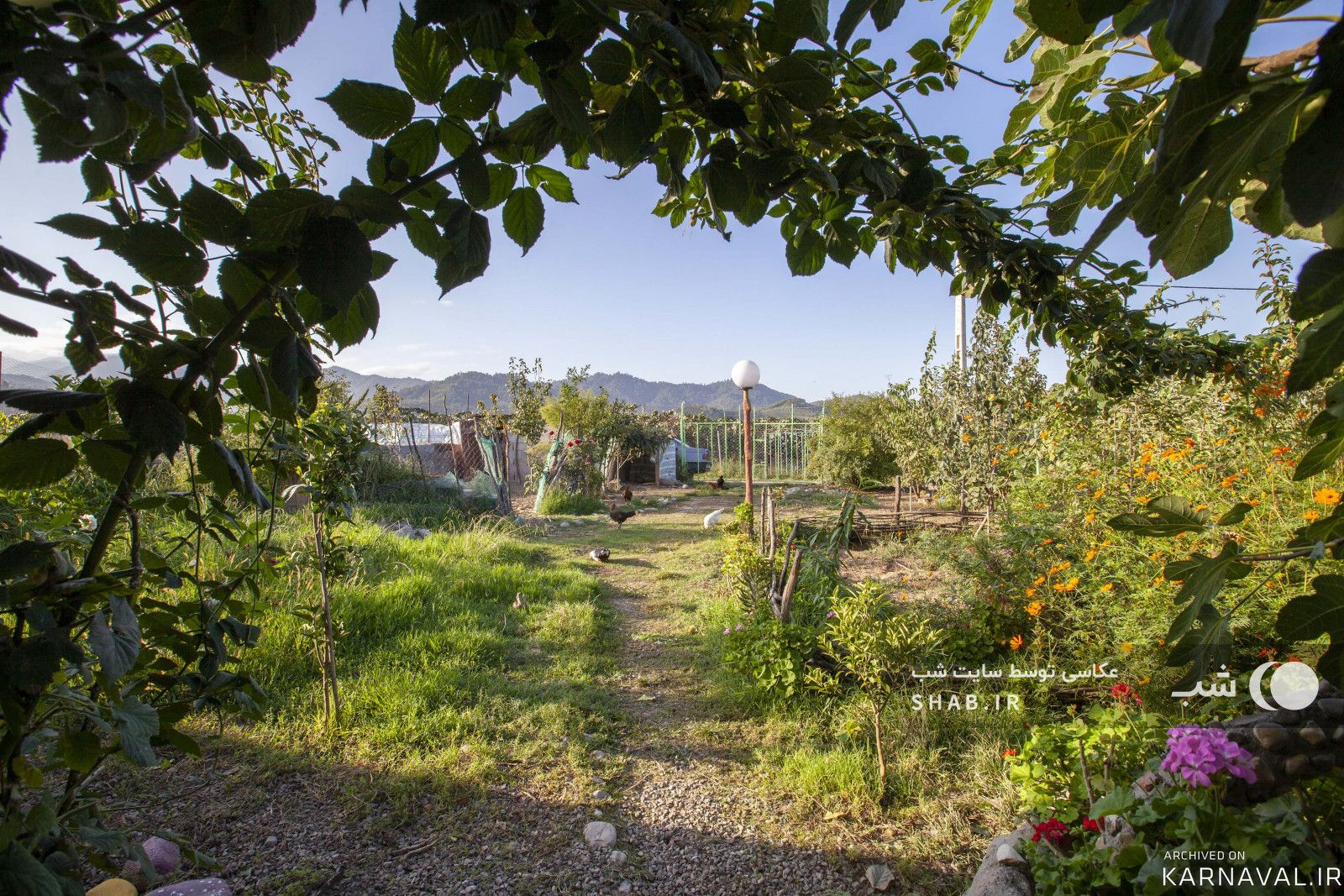 کلبه سنتی در لیسار
