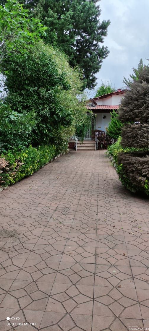 ویلای جنگلی مایا با دسترسی عالی