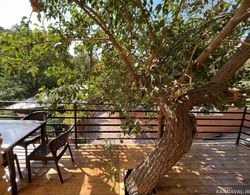 کلبه (8) درختی دنج چهار نفره سزان کلبه (8) درختی دنج چهار نفره سزان