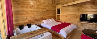 کلبه (9) درختی نقلی دو نفره دگا/ داوینچی/ رامبراند کلبه (9) درختی نقلی دو نفره دگا/ داوینچی/ رامبراند