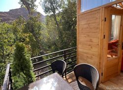 کلبه درختی دنج دو نفره رنوار/ رافائل/ ونگوگ کلبه درختی دنج دو نفره رنوار/ رافائل/ ونگوگ