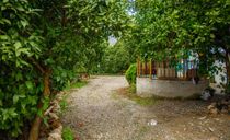 اجاره باغ ویلا سه خوابه استخردار اجاره باغ ویلا سه خوابه استخردار