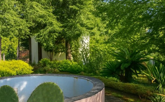 ویلایی در نزدیکی ساحل با ویو مرداب ویلایی در نزدیکی ساحل با ویو مرداب