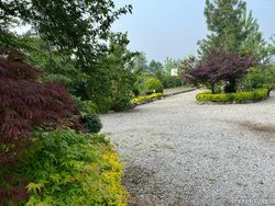 ویلایی در نزدیکی ساحل با ویو مرداب ویلایی در نزدیکی ساحل با ویو مرداب