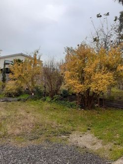 واحد مبلهی دو خوابه در محیطی آرام واحد مبلهی دو خوابه در محیطی آرام