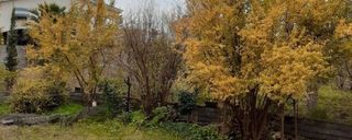 واحد مبلهی دو خوابه در محیطی آرام واحد مبلهی دو خوابه در محیطی آرام