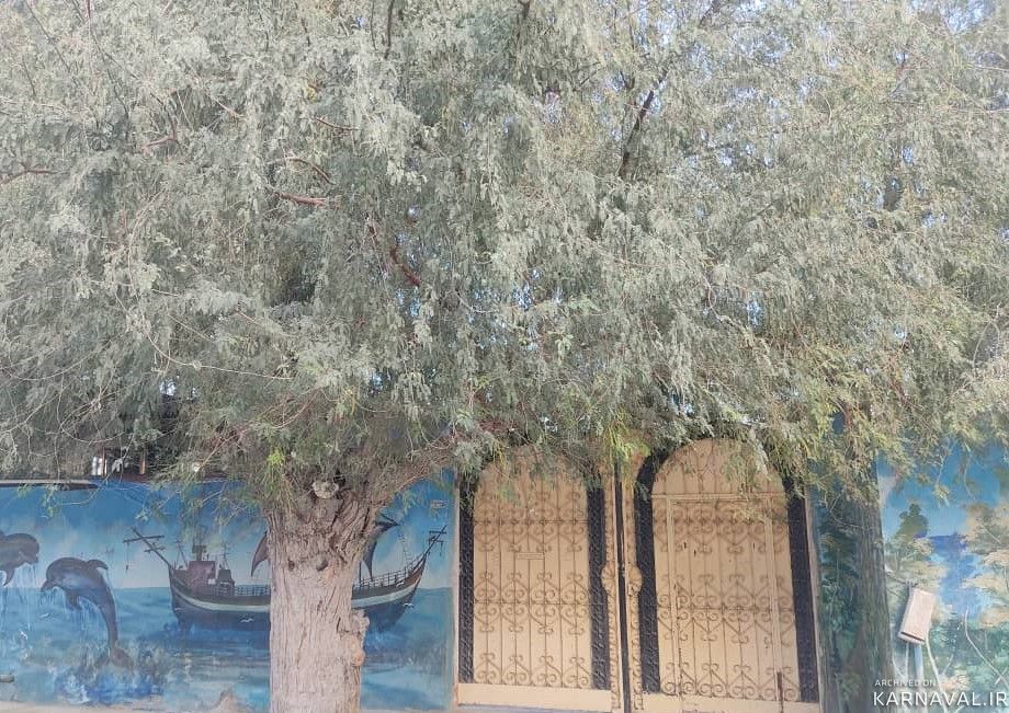 اقامتگاه بومگردی "علیشاهی" اتاق 4 (20 متری) اقامتگاه بومگردی "علیشاهی" اتاق 4 (20 متری)