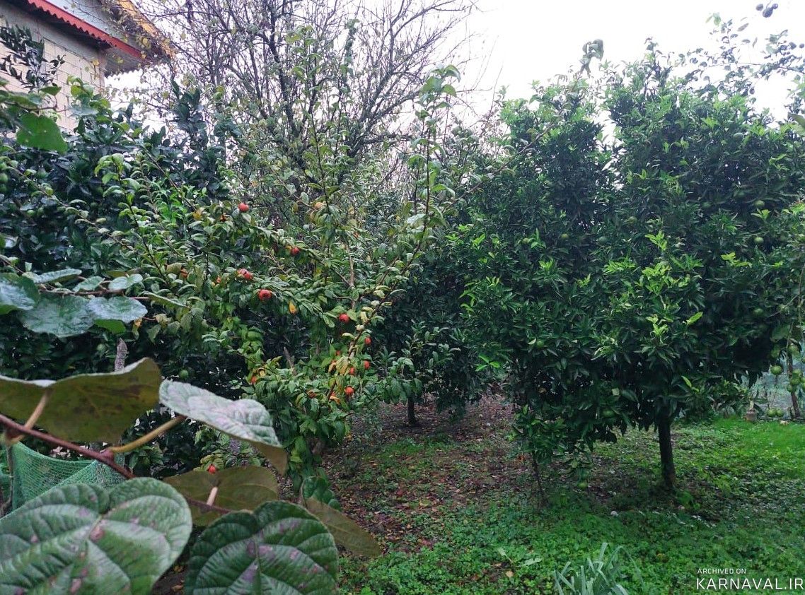 ویلای تک خواب در دل باغ
