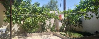 ویلای تک خوابهی جزیره ویلای تک خوابهی جزیره