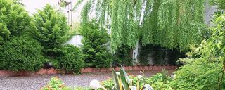 ویلا دنج با دسترسی عالی به جنگل و دریا ویلا دنج با دسترسی عالی به جنگل و دریا