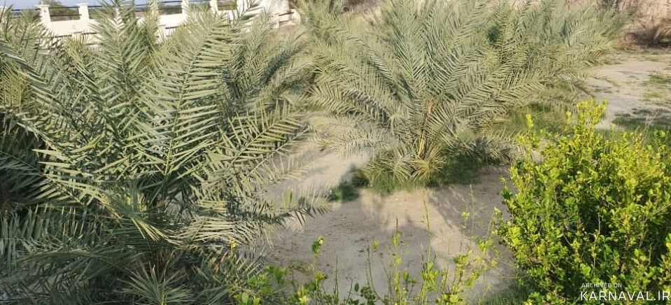 "اقامتگاه مالوک" اتاق (3) "اقامتگاه مالوک" اتاق (3)