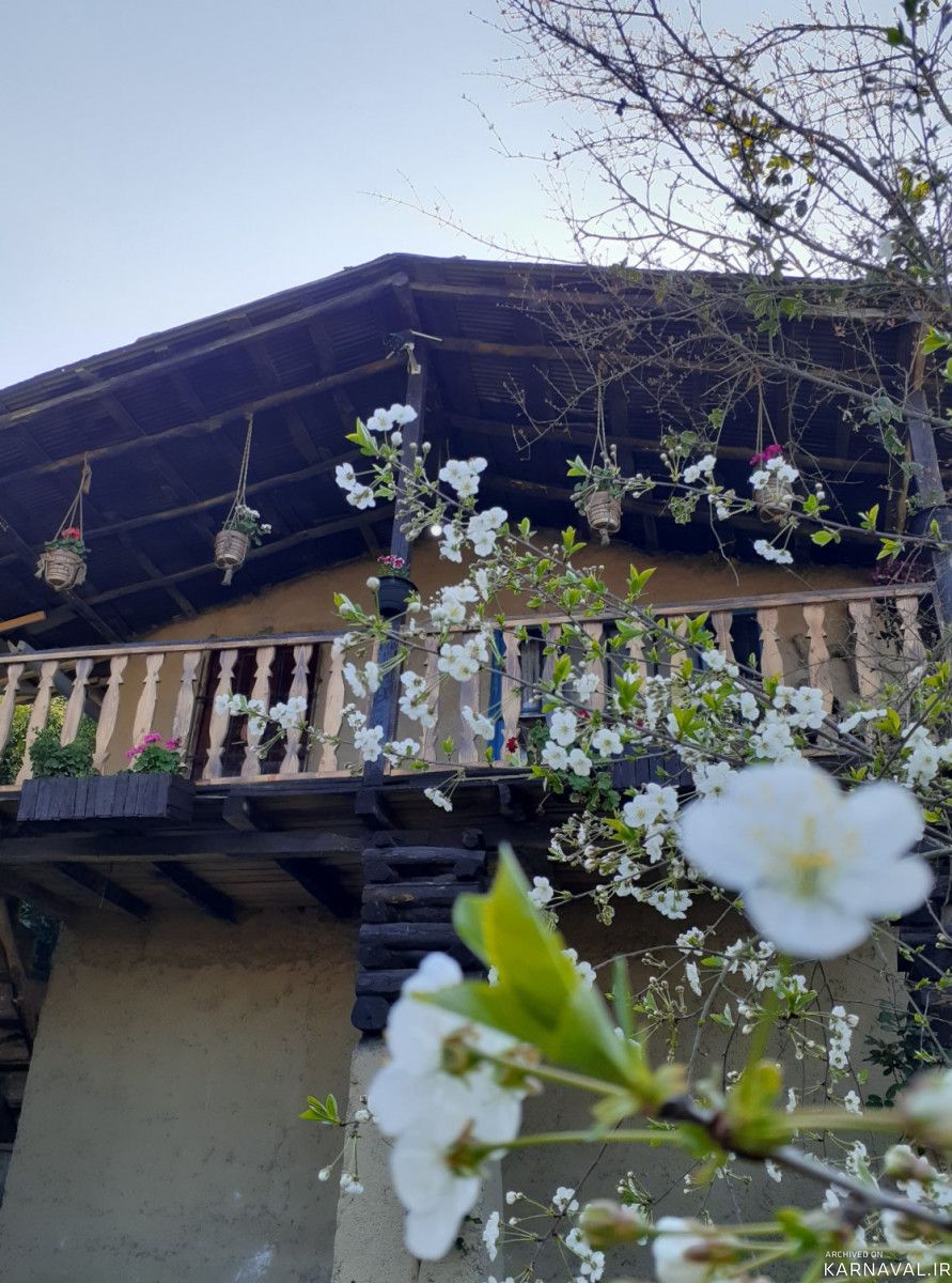 کلبه جنگلی تک خواب بیژن در محیطی دنج