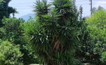ویلای دو خوابه دربست تدی ویلای دو خوابه دربست تدی