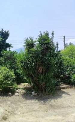 ویلای دو خوابه دربست تدی ویلای دو خوابه دربست تدی