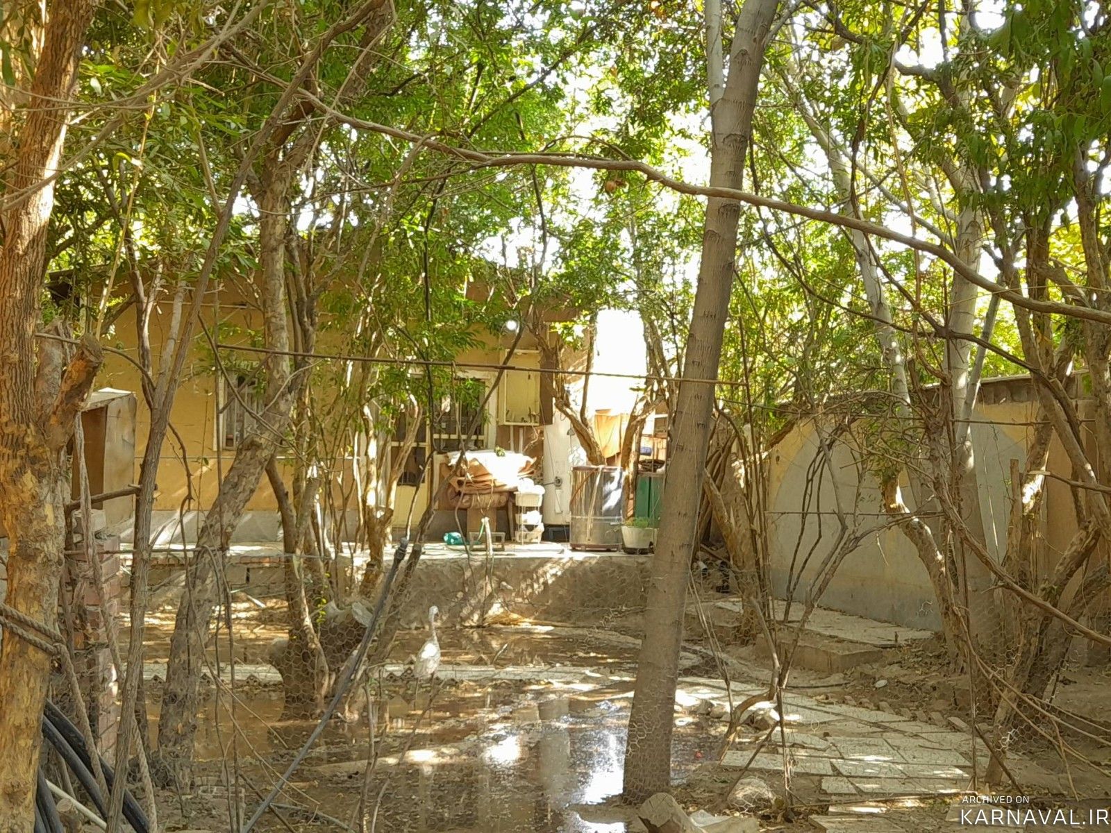 ویلای حیاطدار "راسپینا " در ماهان ویلای حیاطدار "راسپینا " در ماهان