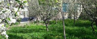 واحد تک خواب با امکانات رفاهی مطلوب واحد تک خواب با امکانات رفاهی مطلوب