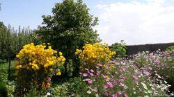 واحد تک خواب با امکانات رفاهی مطلوب واحد تک خواب با امکانات رفاهی مطلوب