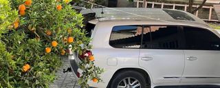 واحد تک خواب در بندر گز واحد تک خواب در بندر گز