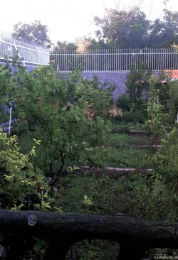 ویلای مبله نو ساخت کف سرامیک(طبقه دوم)
ویلای مبله نو ساخت کف سرامیک(طبقه دوم)