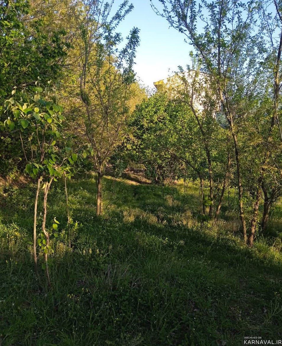 اقامتگاه بوم گردی چل چلا روستای پرکلا