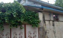 ویلای مبله تک خواب با حیاطی دربست ویلای مبله تک خواب با حیاطی دربست