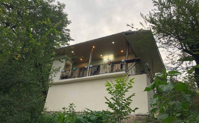 ویلای جنگلی در منطقه ای بکر و سرسبز ویلای جنگلی در منطقه ای بکر و سرسبز
