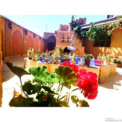 اتاق (5) اقامتگاه بومگردی بی بی مریم اتاق (5) اقامتگاه بومگردی بی بی مریم