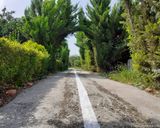 اجاره ویلای تراس دار،باویوی بی نظیر اجاره ویلای تراس دار،باویوی بی نظیر