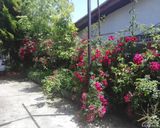 ویلای دربست با دسترسی آسان ویلای دربست با دسترسی آسان