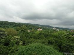 ویلای سه خوابه به همراه باغ زیبا و حوض در حیاط ویلای سه خوابه به همراه باغ زیبا و حوض در حیاط