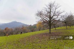 ویلا در کوهپایه های ماسال ویلا در کوهپایه های ماسال