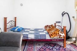 ویلا در کوهپایه های ماسال ویلا در کوهپایه های ماسال