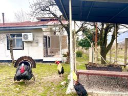 ویلا در کوهپایه های ماسال ویلا در کوهپایه های ماسال