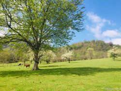 ویلا در کوهپایه های ماسال ویلا در کوهپایه های ماسال