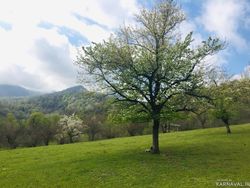 ویلا در کوهپایه های ماسال ویلا در کوهپایه های ماسال