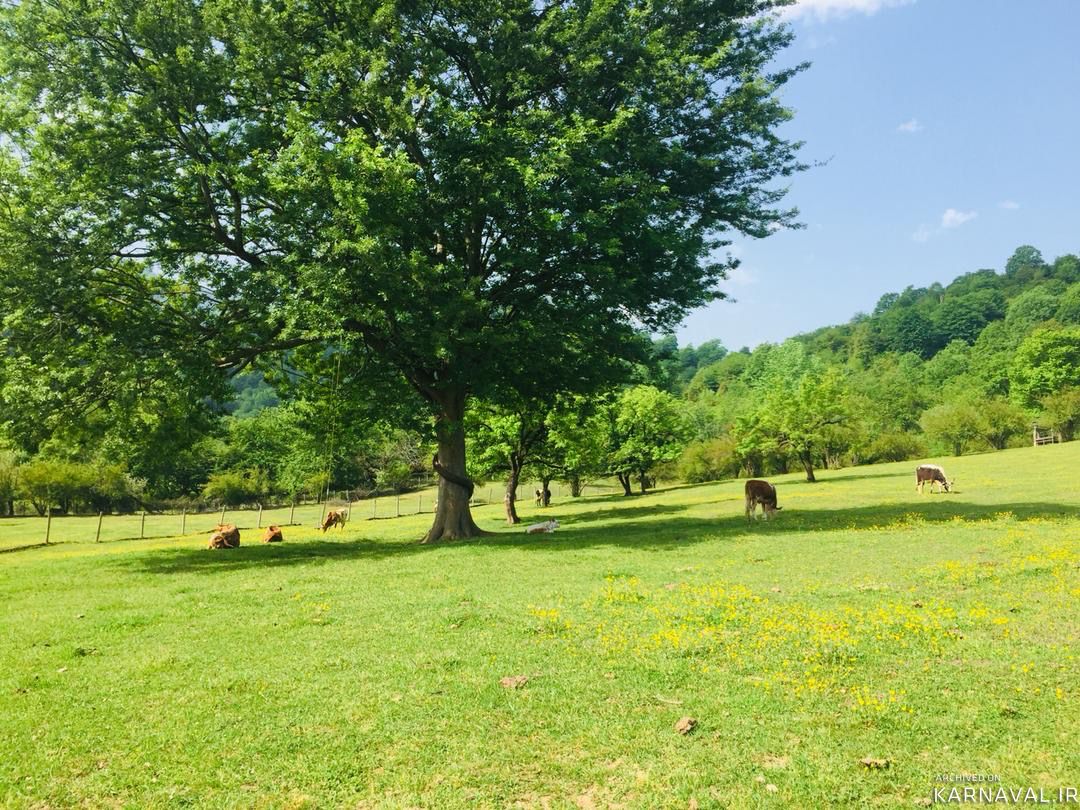 ویلا در کوهپایه های ماسال ویلا در کوهپایه های ماسال