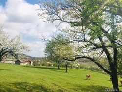 ویلا در کوهپایه های ماسال ویلا در کوهپایه های ماسال