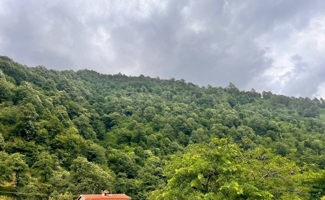 خونه باغ روستایی با چیدمان سنتی خونه باغ روستایی با چیدمان سنتی