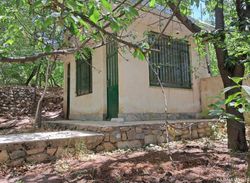 خانه باغ تک خواب دربست در محیطی آرام خانه باغ تک خواب دربست در محیطی آرام