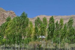 تجربه سبك زندگي و باغداري مردم اهنز تجربه سبك زندگي و باغداري مردم اهنز