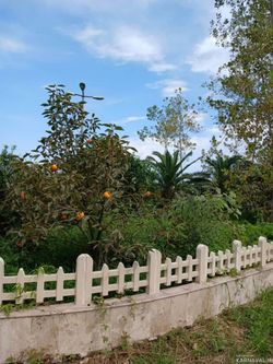 واحد اقامتی مبله و تک خوابه واحد اقامتی مبله و تک خوابه