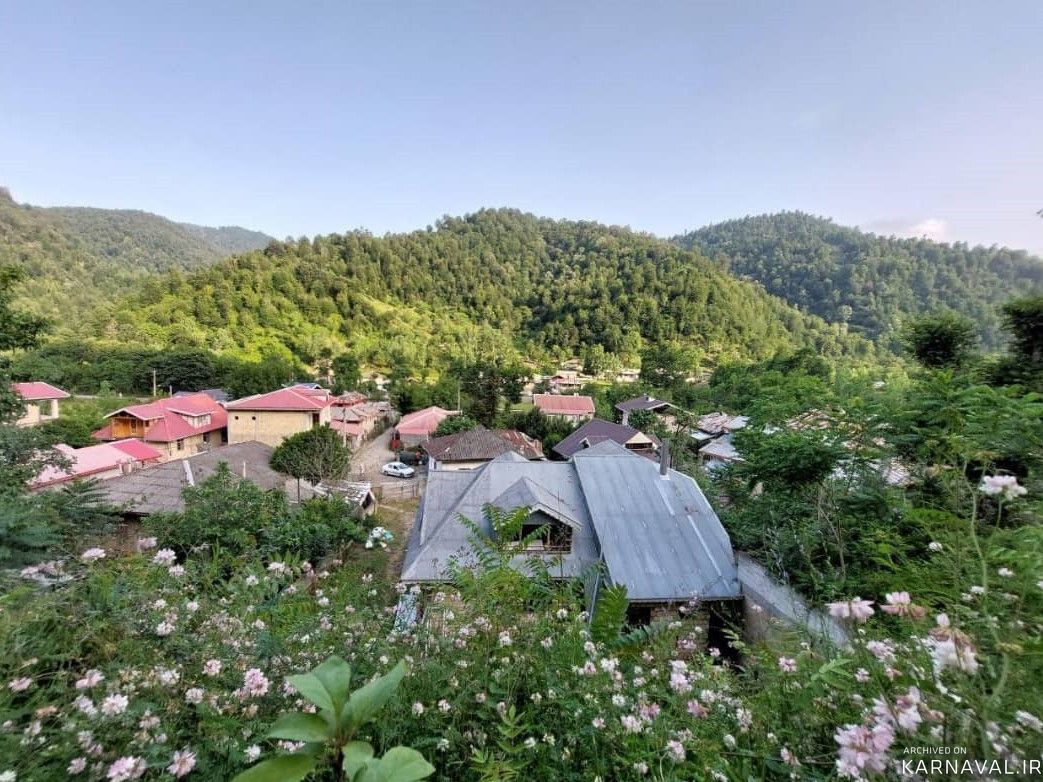 ویلای چوبی جنگلی تک خواب دنج