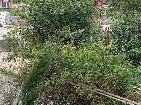 واحد تک خواب مبله با امکانات رفاهی مطلوب