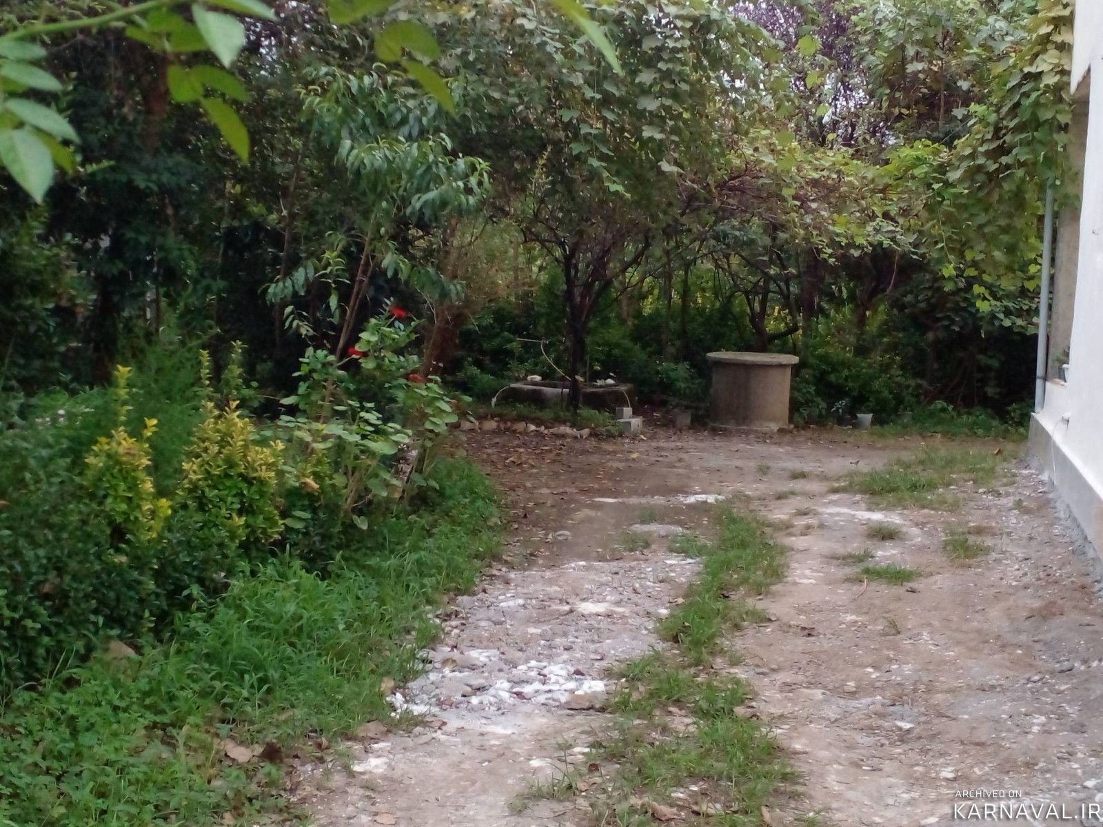 ویلای جنگلی کلاچای