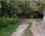 ویلای جنگلی کلاچای ویلای جنگلی کلاچای