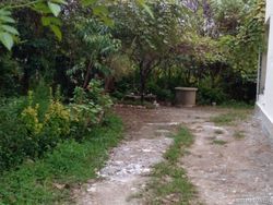 ویلای جنگلی کلاچای ویلای جنگلی کلاچای